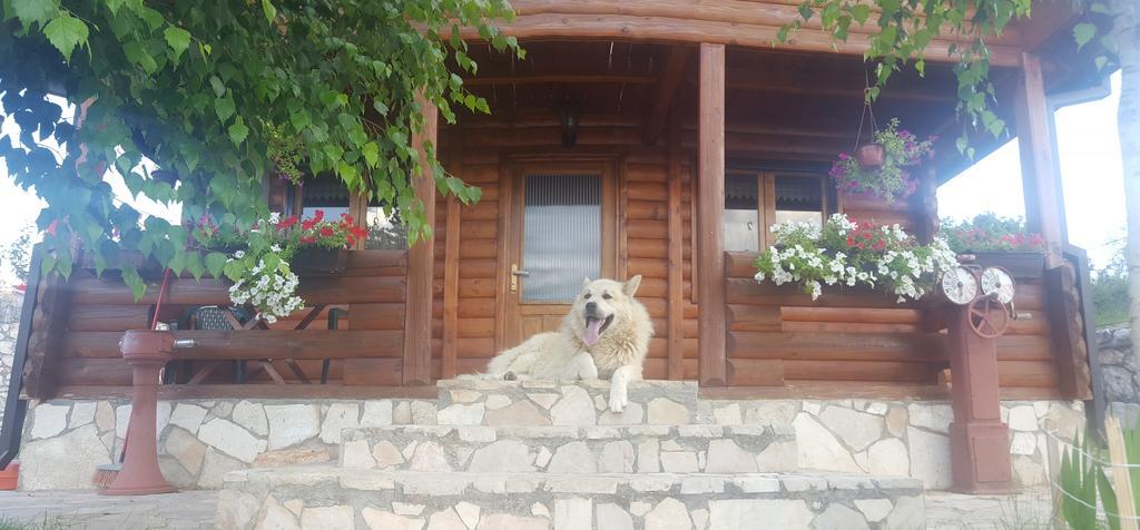 Holiday Home Zoric Nikšić Dış mekan fotoğraf